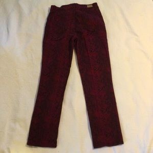 Bandolino Mandie Pant